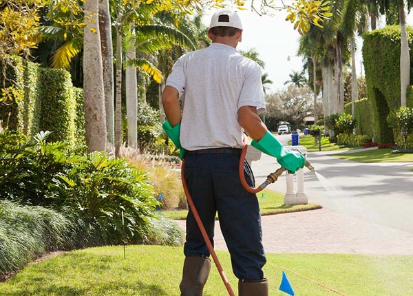 About Belmont WV Pest Control Pros
